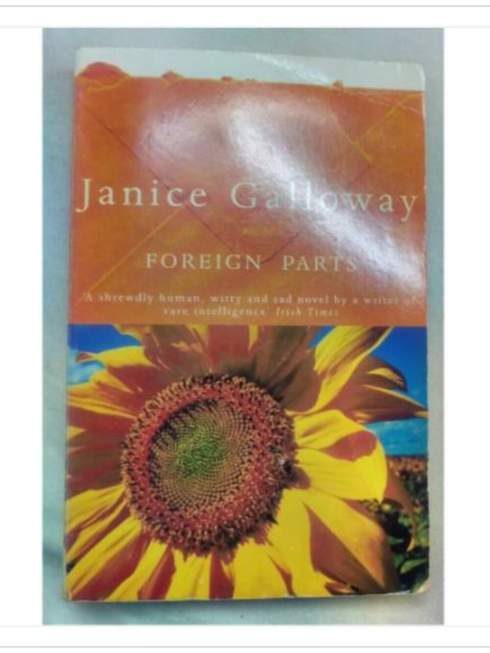 Foreign Parts A Shrewdly Human, Witty and Sad Novel of Vintage 1995 PB